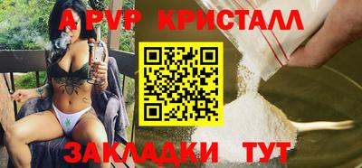 крисы Новокубанск