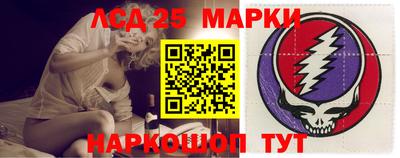 крисы Новокубанск