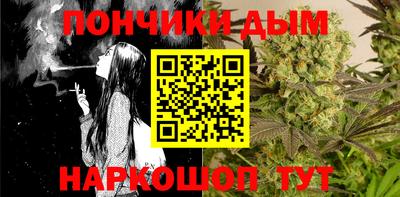 крисы Новокубанск