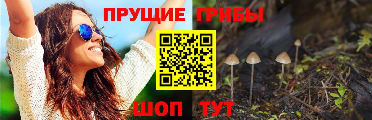 Галлюциногенные грибы GOLDEN TEACHER Партизанск